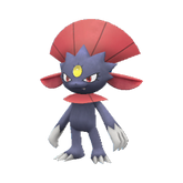 Weavile - Pokestar
